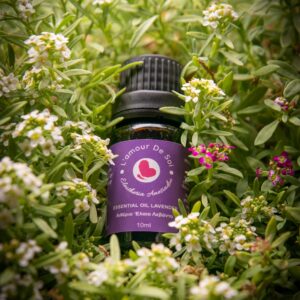Essential Oil Lavender - Αιθέριο Έλαιο Λεβάντα