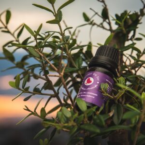 Essential Oil Lavender - Αιθέριο Έλαιο Λεβάντα
