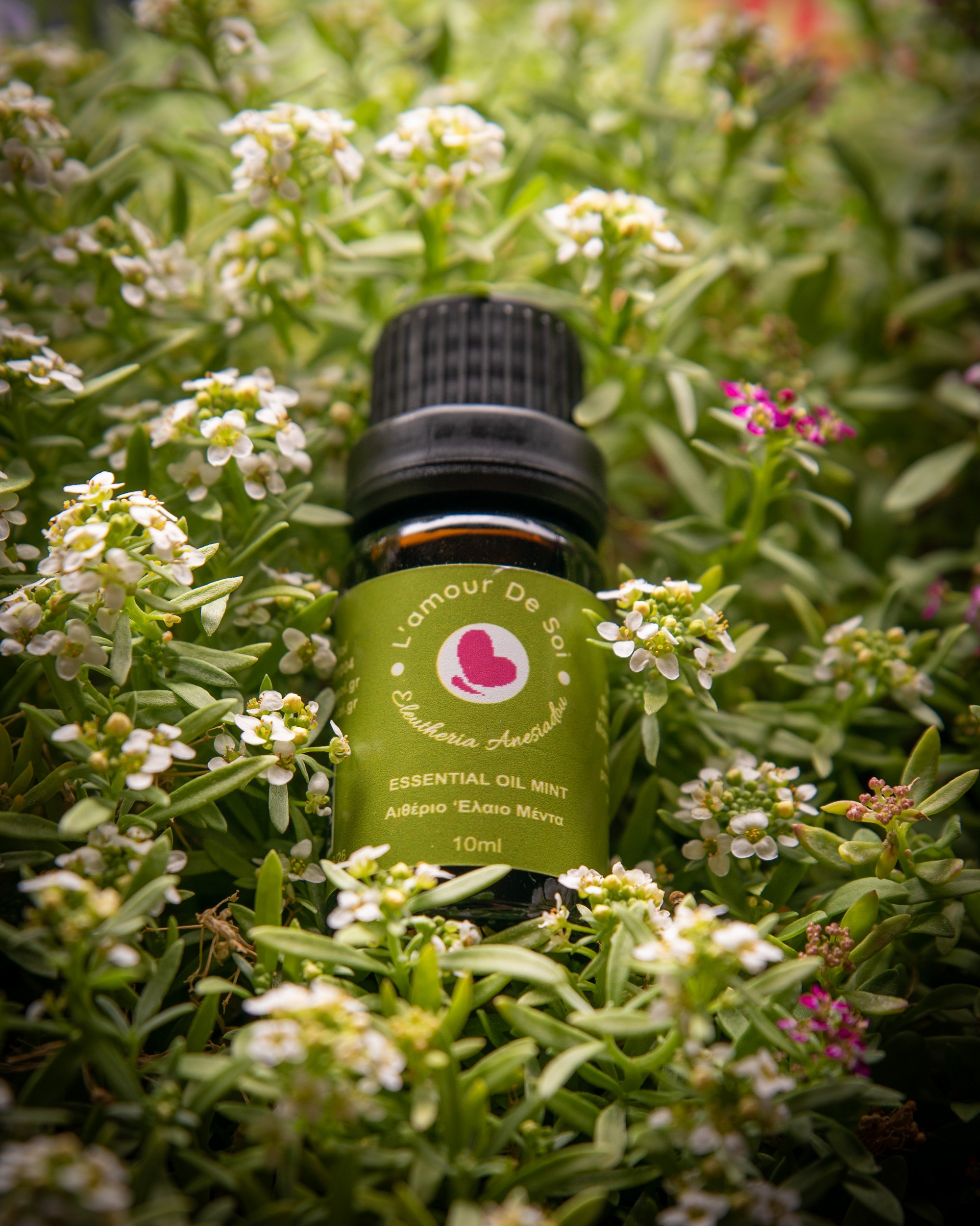 Essential Oil Mint – Αιθέριο Έλαιο Μέντα
