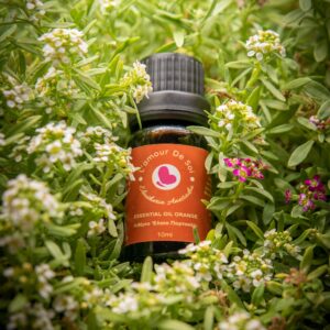 Essential Oil Orange - Essential Oil Orange