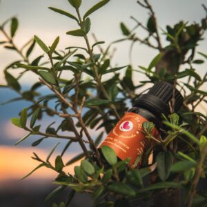 Essential Oil Orange - Essential Oil Orange