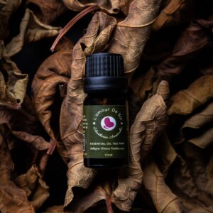 Essential Oil Tea Tree - Tea Tree Essential Oil