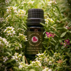 Essential Oil Tea Tree - Tea Tree Essential Oil