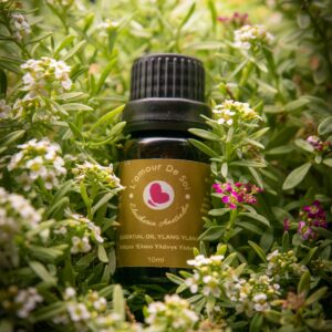 Essential Oil Ylang Ylang - Αιθέριο Έλαιο Υλάνκ Υλανκ