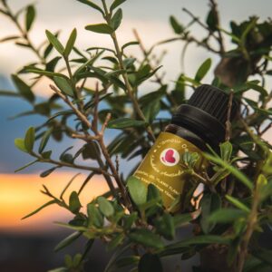 Essential Oil Ylang Ylang - Αιθέριο Έλαιο Υλάνκ Υλανκ