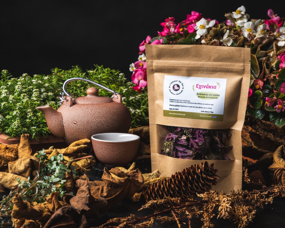 Echinacea Ηerb Echinacea Ηerb