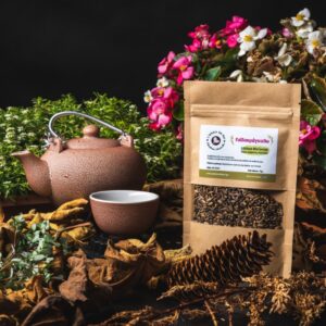 Βότανο Γαιδουράγκαθο